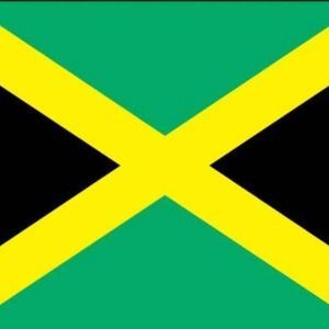 Meet your Posher, Ray